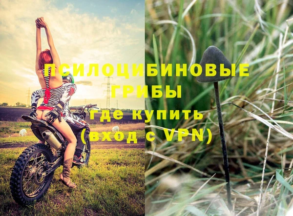 спиды Осинники
