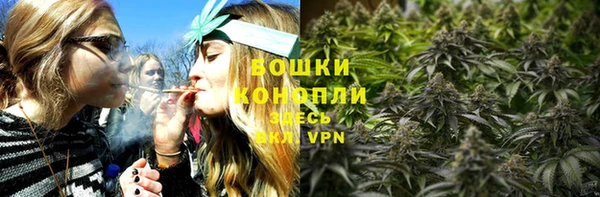 стафф Оленегорск