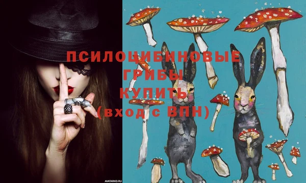 спиды Осинники