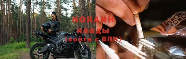ПСИЛОЦИБИНОВЫЕ ГРИБЫ Окуловка