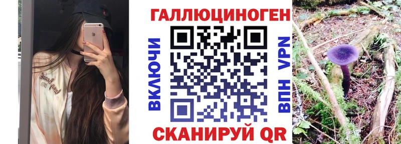 Псилоцибиновые грибы Psilocybe  blacksprut ссылка  Сычёвка 